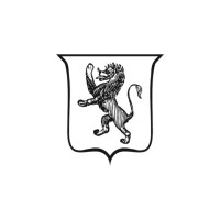 Blue Alpine Partners Logo