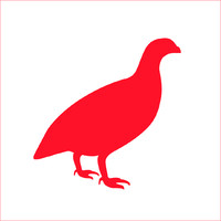 Pernice Comunicazione Logo