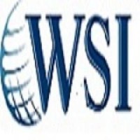 WSI - Agence marketing digital - Conseil - Formation - Prestations Logo