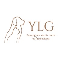 Agence YLG Logo