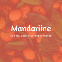 Mandariine - Community Management, illustration et écriture Logo