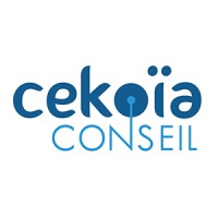 Cekoïa Conseil Logo
