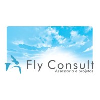 Fly Consult Assessoria e Projetos Logo