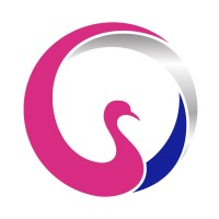 Cygnetise Logo