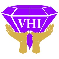 Valuehandlers International Limited Logo