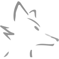 The Flying Fox Logo