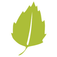 Birchtree Catering, LLC Logo