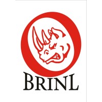 BRINL SERVICES LIMITED Logo