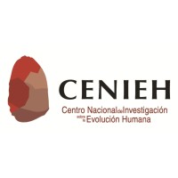 CENIEH (Centro Nacional de Investigación sobre la Evolución Humana) Logo