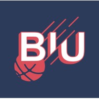 Baloncesto in USA Logo