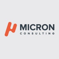 MICRON Consulting Logo