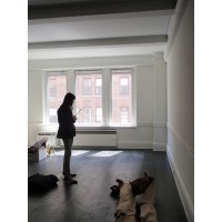 Maxine Shriber Interior Design New York Logo