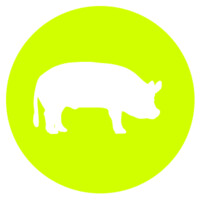 The Pigment Group Logo