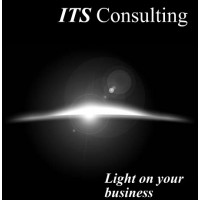 ITS Consulting (Italy) Logo
