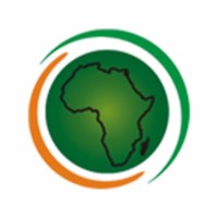Africa Islamic Economic Foundation Logo