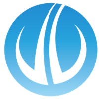 Wire Fire | CyberProfessions Logo