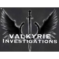 Valkyrie Investigations Logo