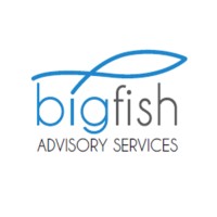 Bigfish Advisory Logo