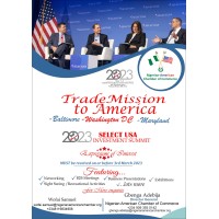Nigerian-American Chamber of Commerce (NACC). Logo
