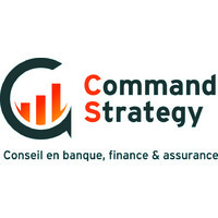 Command Strategy Advisory Logo
