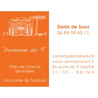 Domaine du T Logo