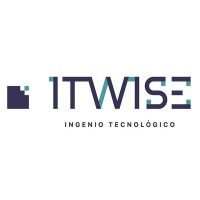 ITWISE TECHNOLOGY SERVICES Logo
