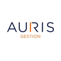 Auris Gestion Logo