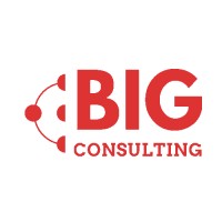 B.I.G. Consulting Logo