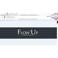 FLOWUP Logo