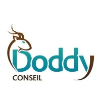 DODDY CONSEIL Logo