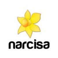 Narcisa Logo