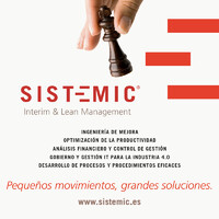 SISTEMIC Interim & Lean Management Logo