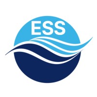 Engineered Syntactic Systems Logo