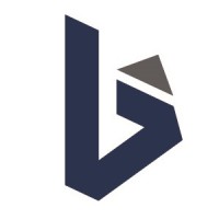 BInnovation Srl Logo