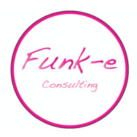 Funk-e Consulting, LLC Logo