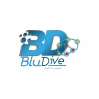 BluDive Technologies Ltd Logo
