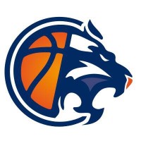 Ouest Lyonnais Basket Logo
