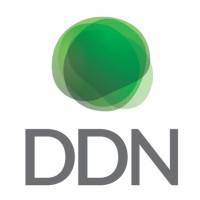 DDN - Gestão de Projetos, SA Logo
