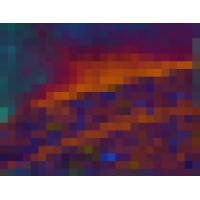 Fèlix Vinyals Biotronic Art Studio Logo