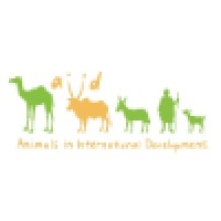 Animals in International Development Logo