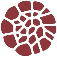 imohe - Instituto de Salud, Medicina y Oncología Holística Logo