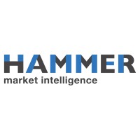 Hammer - Market Intelligence Logo