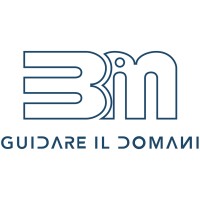 BIM SERVICE S.R.L. Logo