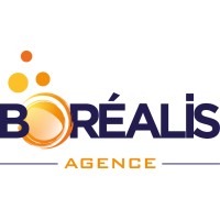 BOREALIS COM Logo