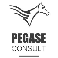 PEGASE CONSULT - EQUICOACHING Logo