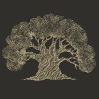 Olive Tree Escapes Logo