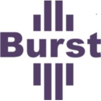 Burst Logo