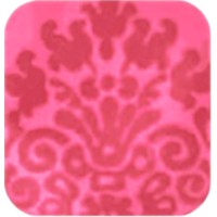 Solielle Design Studio LLC Logo