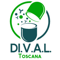 DIVAL TOSCANA SRL Logo