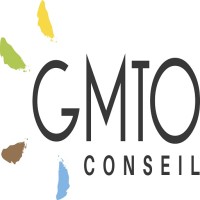 GMTO-CONSEIL Logo